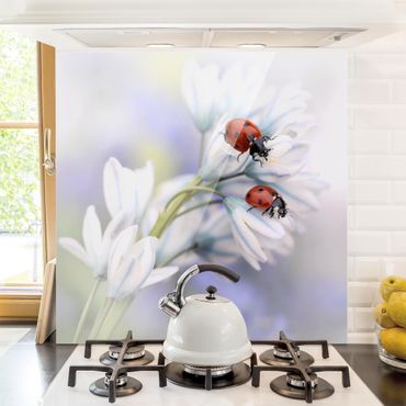 Spatscherm keuken Ladybug On Flowers
