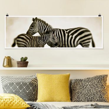 Posters Zebra Couple