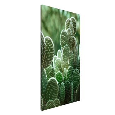 Magneetborden Cacti
