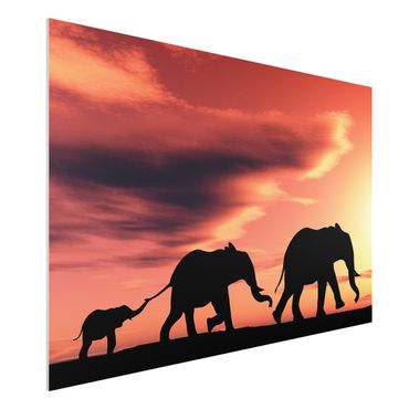 Forex schilderijen Savannah Elephant Family