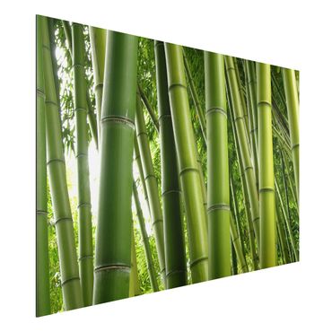 Aluminium Dibond schilderijen Bamboo Trees No.1