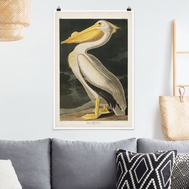 Posters Vintage Board White Pelican