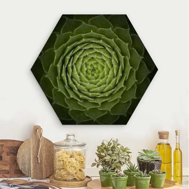 Hexagons houten schilderijen Mandala Succulent