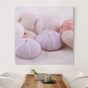 Canvas schilderijen Sea Urchin In Pastel