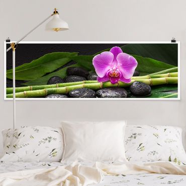 Posters Green Bamboo With Orchid Flower