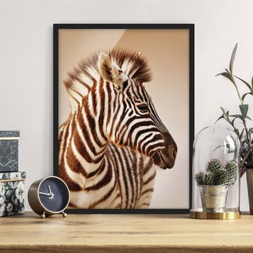 Ingelijste posters Zebra Baby Portrait