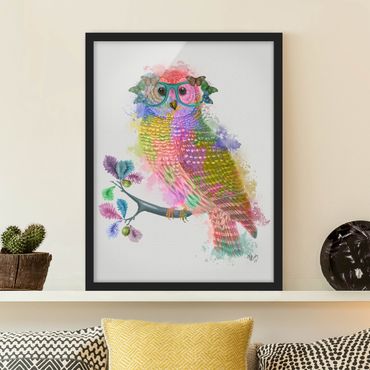Ingelijste posters Rainbow Splash Owl