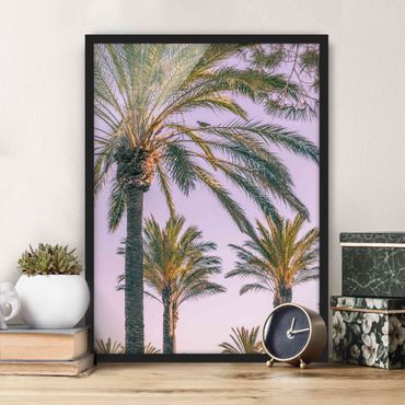 Ingelijste posters Palm Trees At Sunset