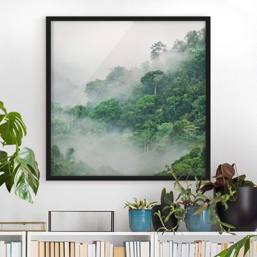 Ingelijste posters Jungle In The Fog