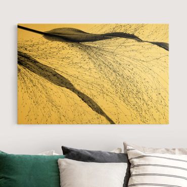 Canvas schilderijen - Goud Delicate Reed With Small Buds Black And White