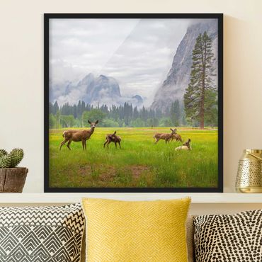 Ingelijste posters Deer In The Mountains