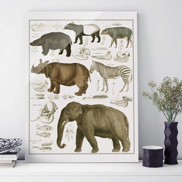 Glasschilderijen Vintage Board Elephant, Zebra And Rhino