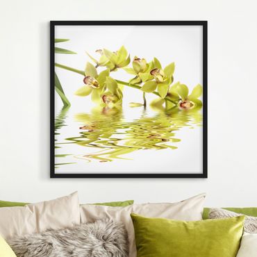 Ingelijste posters Elegant Orchid Waters
