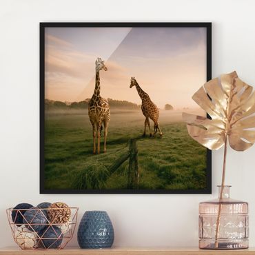 Ingelijste posters Surreal Giraffes