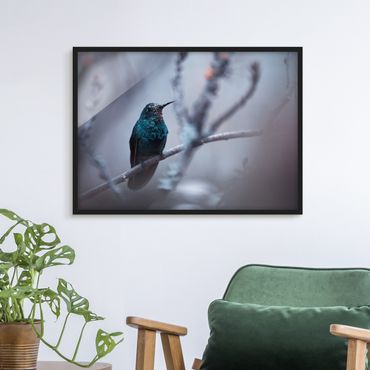 Ingelijste posters Hummingbird In Winter
