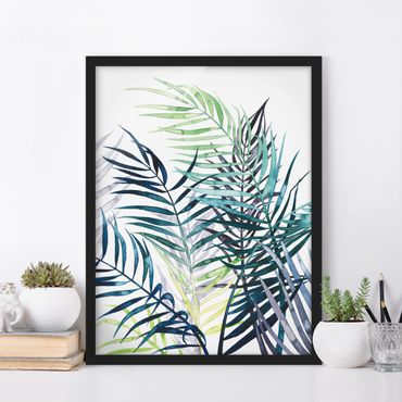 Ingelijste posters Exotic Foliage - Palme
