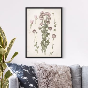 Ingelijste posters Herbarium In Pink I
