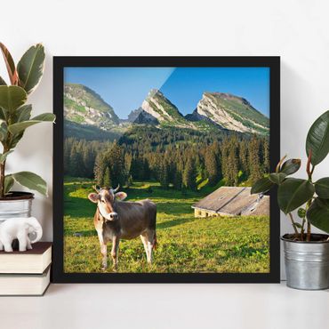 Ingelijste posters Swiss Alpine Meadow With Cow