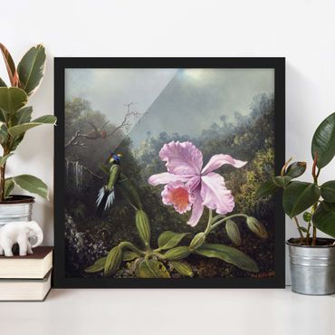 Ingelijste posters Martin Johnson Heade - Still Life With An Orchid And A Pair Of Hummingbirds
