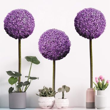 Muurstickers Allium Ball Blossoms Set of 3