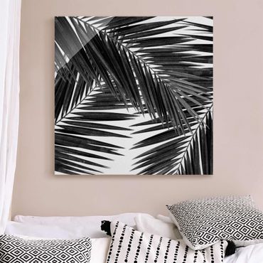Glasschilderijen View Through Palm Leaves Black And White