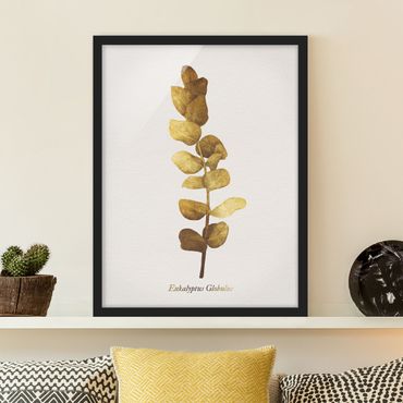 Ingelijste posters Gold - Eucalyptus