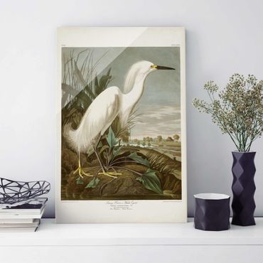 Glasschilderijen Vintage Board White Heron I