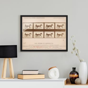 Ingelijste posters Eadweard Muybridge - The horse in Motion