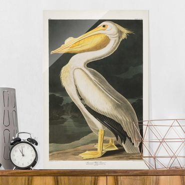 Glasschilderijen Vintage Board White Pelican