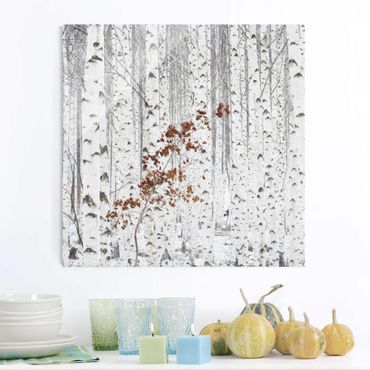 Glasschilderijen Birch Trees In Autumn