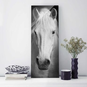 Glasschilderijen Dream Of A Horse