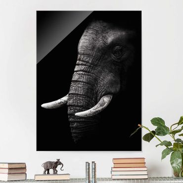 Glasschilderijen Dark Elephant Portrait