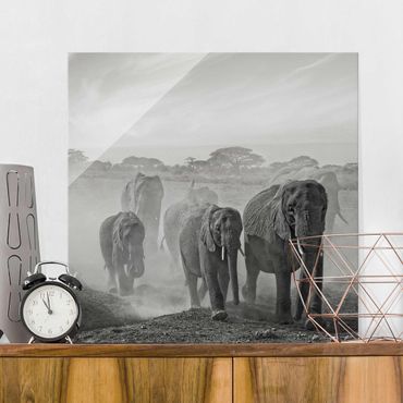 Glasschilderijen Herd Of Elephants