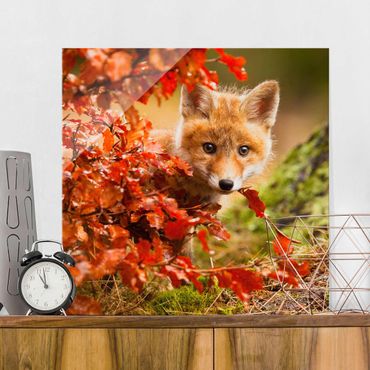 Glasschilderijen Fox In Autumn