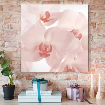 Glasschilderijen Bright Orchid Flower Wallpaper - Svelte Orchids