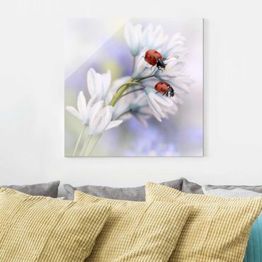 Glasschilderijen Ladybird Couple