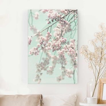 Glasschilderijen Dancing Cherry Blossoms On Canvas