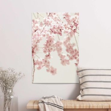 Glasschilderijen Dancing Cherry Blossoms