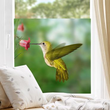 Raamfolie Hummingbird And Flower