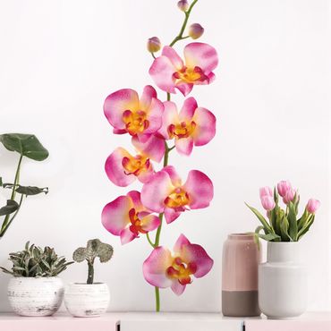 Muurstickers No.177 Orchid Rose II