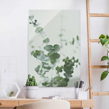 Glasschilderijen Growing Eucalyptus