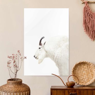 Glasschilderijen White Mountain Goat