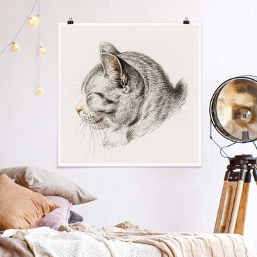 Posters Vintage Drawing Cat III