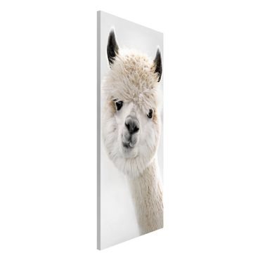 Magneetborden Alpaca Portrait