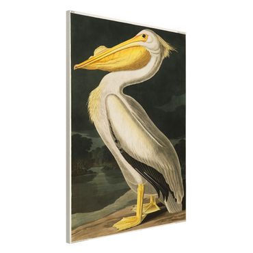 Magneetborden Vintage Board White Pelican