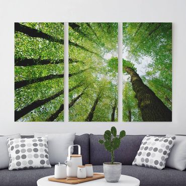Canvas schilderijen - 3-delig Trees Of Life