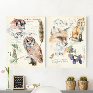 Canvas schilderijen - 2-delig  Wilderness Journal Owl And Fox Set I