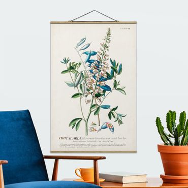 Stoffen schilderij met posterlijst Vintage Botanical Illustration Legumes