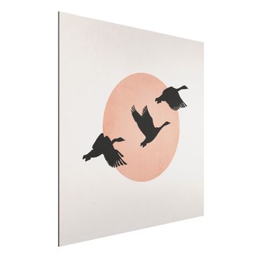 Aluminium Dibond schilderijen Birds In Front Of Rose Sun III