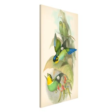 Magneetborden Vintage Illustration Tropical Birds